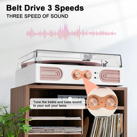 DANFI AUDIO DF rose-gold turntable with treble and bass control enhances home listening