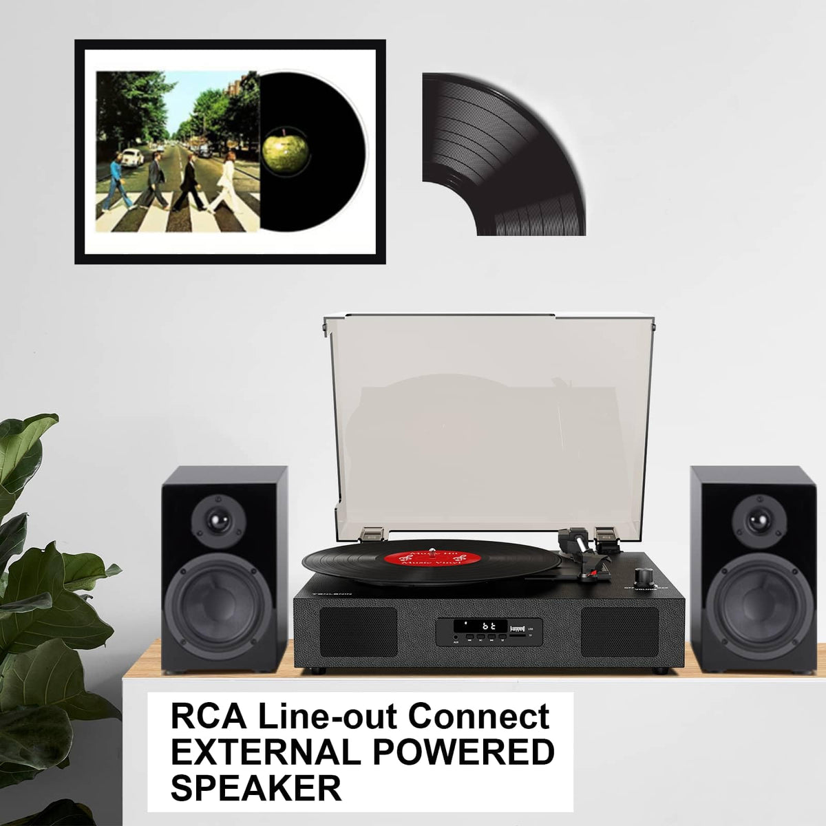 DANFI AUDIO DF three-speed-dial supports 33, 45, and 78 RPM records.