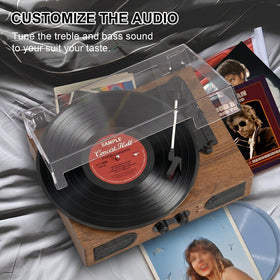 DANFI AUDIO DF treble and bass control knobs tailor sound to your room