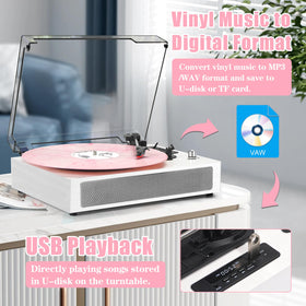 DANFI AUDIO DF 3-speed belt-drive turntable handles 33, 45, and 78 RPM records