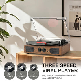 DANFI AUDIO DF immersive listening room with classic LP vibes