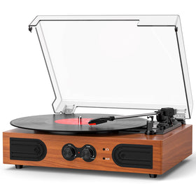 DANFI AUDIO DF vinyl player front view with built-in speakers, warm wood finish