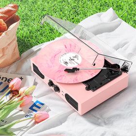 DANFI AUDIO DF pink player with RCA Out and AUX In for external speakers.