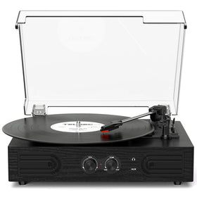 DANFI AUDIO DF vinyl player with built-in speakers for rich room-filling sound