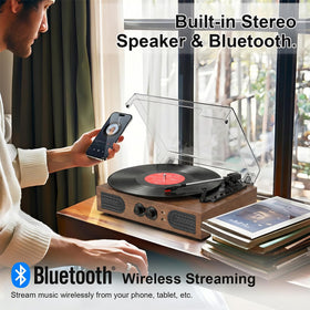 DANFI AUDIO DF warm walnut finish complements home décor