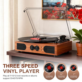 DANFI AUDIO DF wood finish detail highlights redwood tone