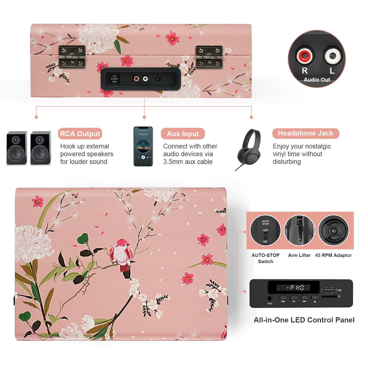 DANFI DF RCA outputs to connect external speakers for louder playback
