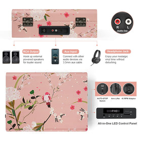 DANFI DF RCA outputs to connect external speakers for louder playback