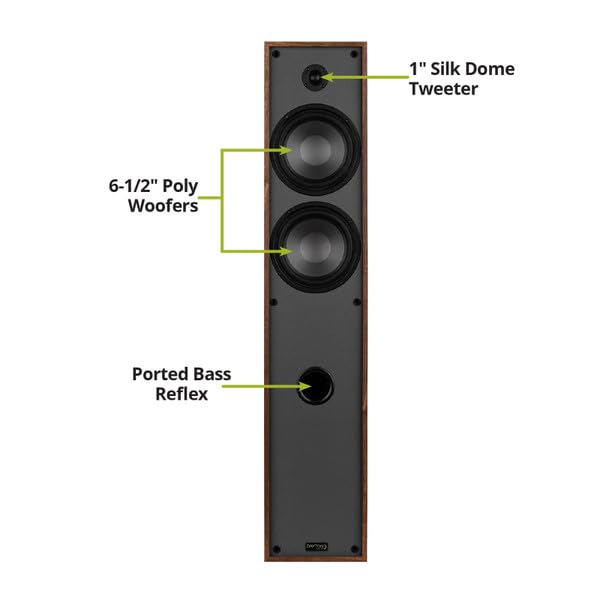 Dayton Audio Classic T65 150W power-handling supports dynamic playback.