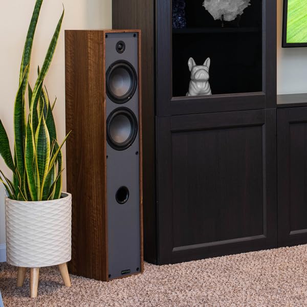 Dayton Audio Classic T65 room-filling sound demo emphasizes immersive listening.