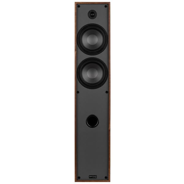 Dayton Audio Classic T65 silk dome tweeter detail delivers smooth treble.