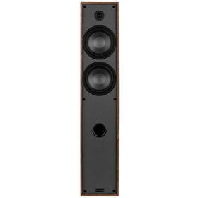 Dayton Audio Classic T65 silk dome tweeter detail delivers smooth treble.