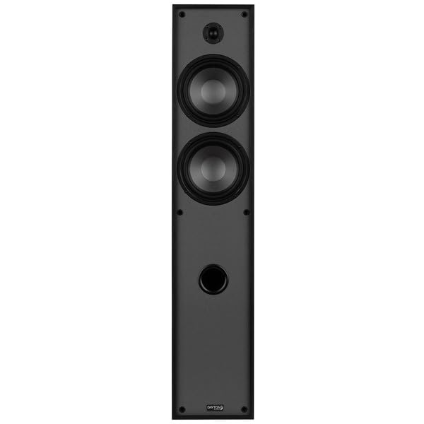 Dayton Audio Classic T65 tweeter detail emphasizes clear treble without harshness.