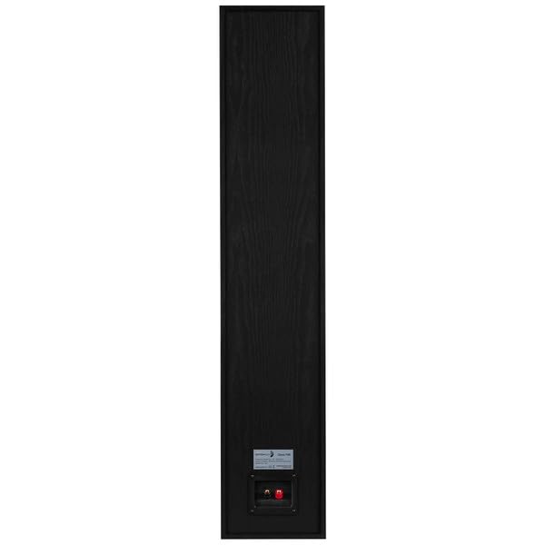 Dayton Audio Classic T65 woofer detail demonstrates punchy bass response.