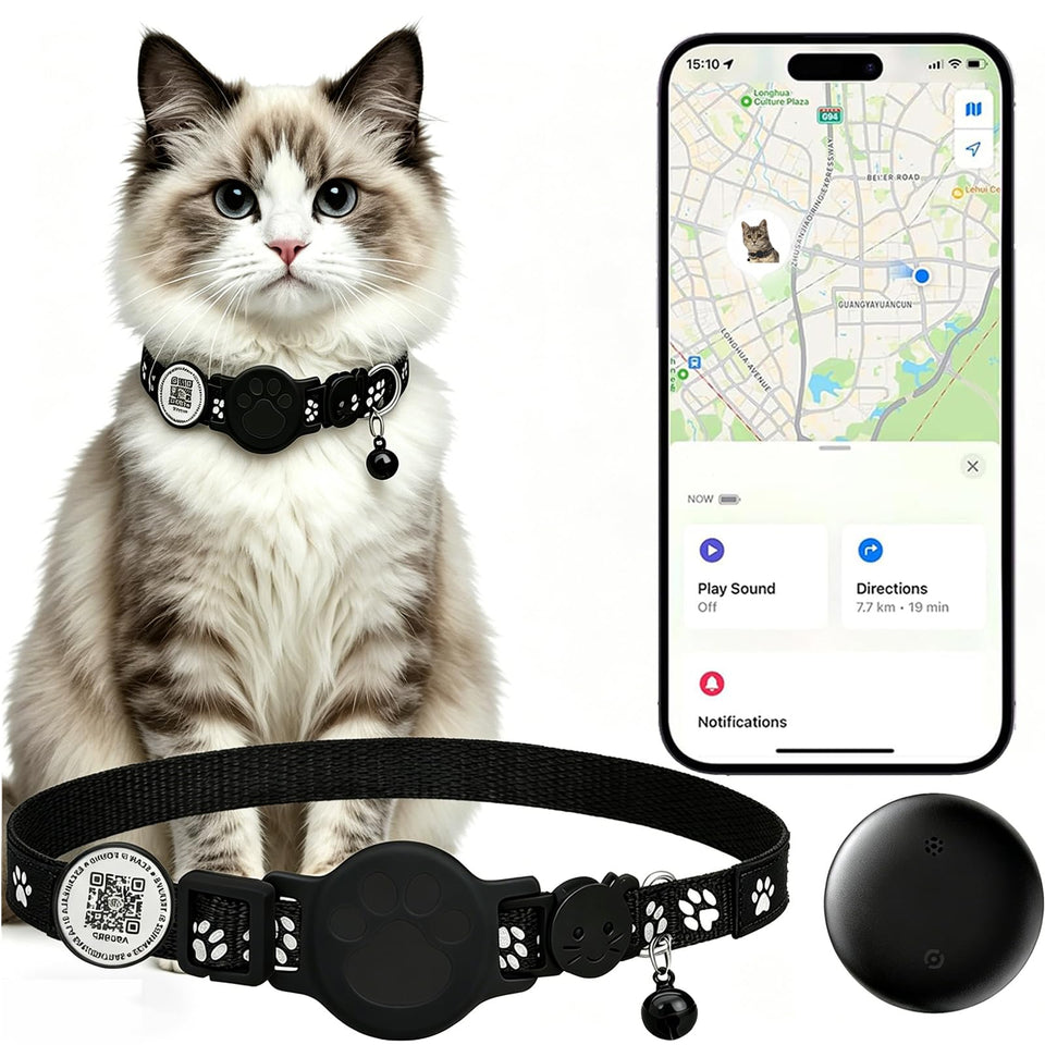 DCZSDJT front view of smart collar showing compact tracker, clear for quick identification and safety
