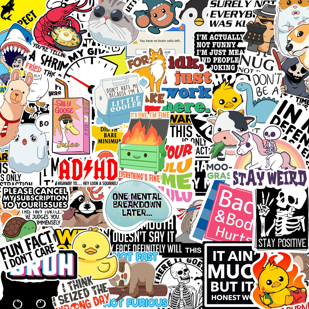 Debinolo 203 funny stickers on water bottles add personality with waterproof durability.