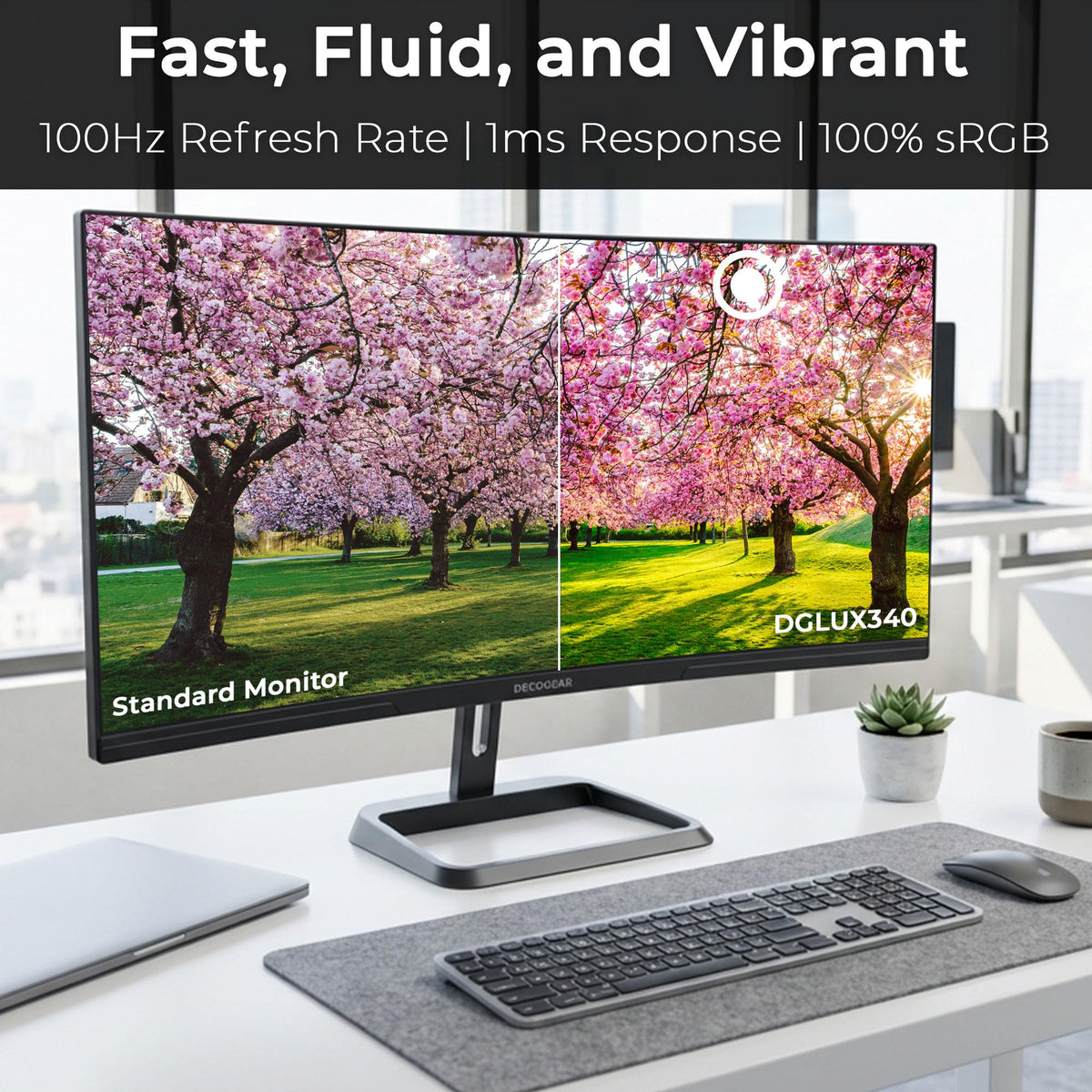 Deco Gear dual inputs DisplayPort HDMI for easy device connections