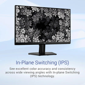 Dell 24-inch monitor with eye comfort tech reducing strain during long sessions.