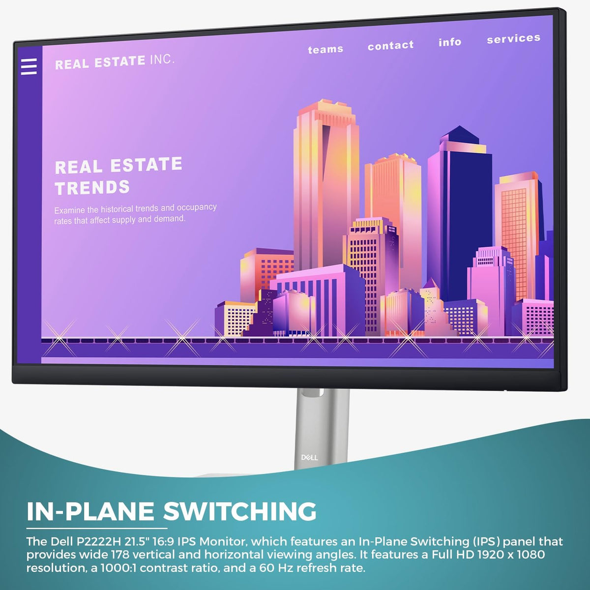 Dell P2222H IPS panel showing wide viewing angles and accurate colors