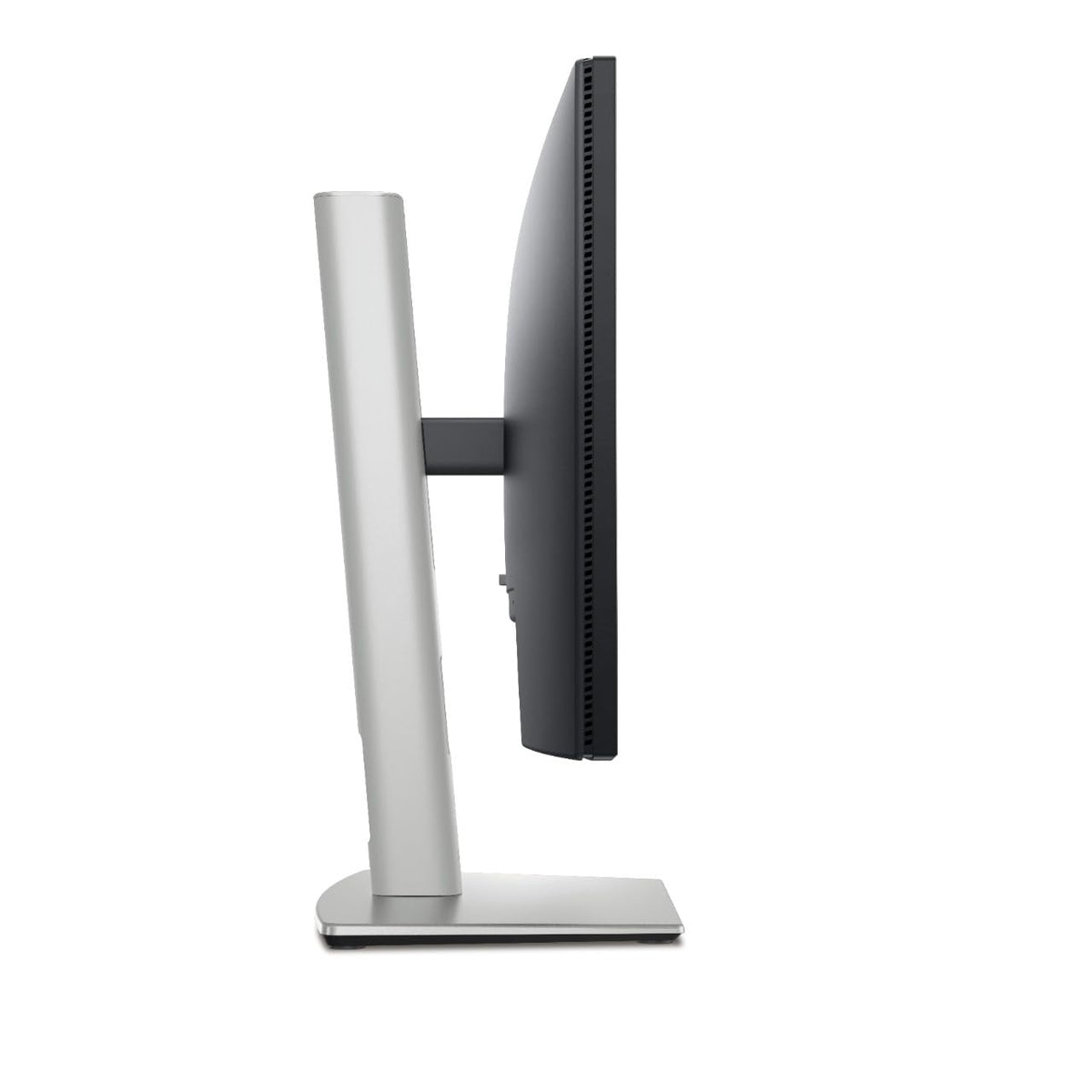 Dell P2422H connectivity ports edge shows easy device sharing and quick setup.
