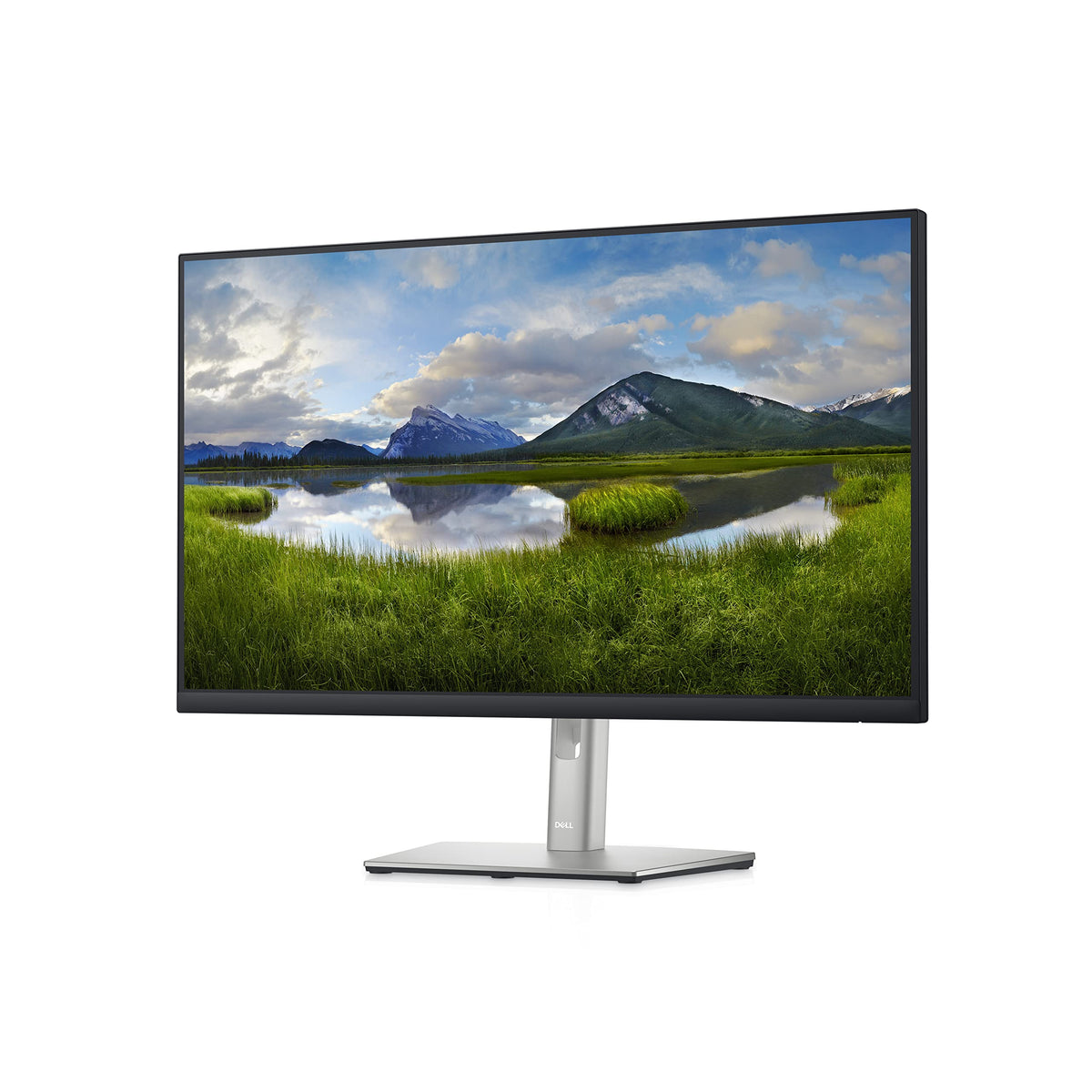 Dell P2725H IPS panel closeup highlights wide viewing angles for smooth collaboration.