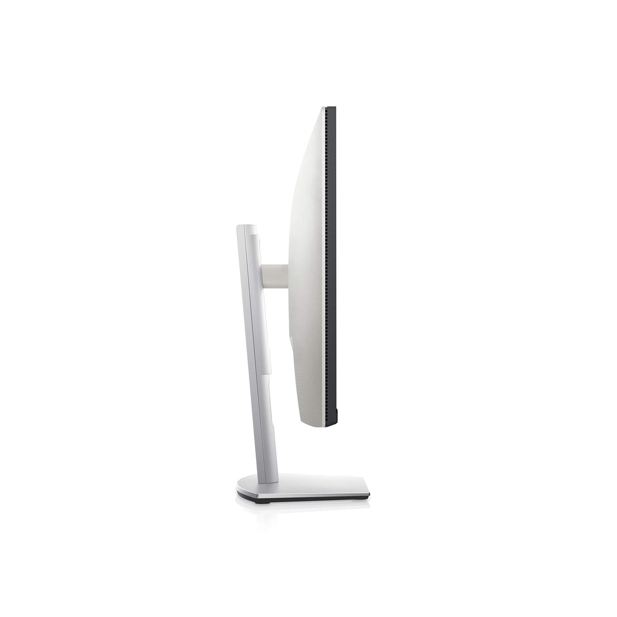 Dell S2421HS 24-inch Full HD IPS display with crisp visuals.