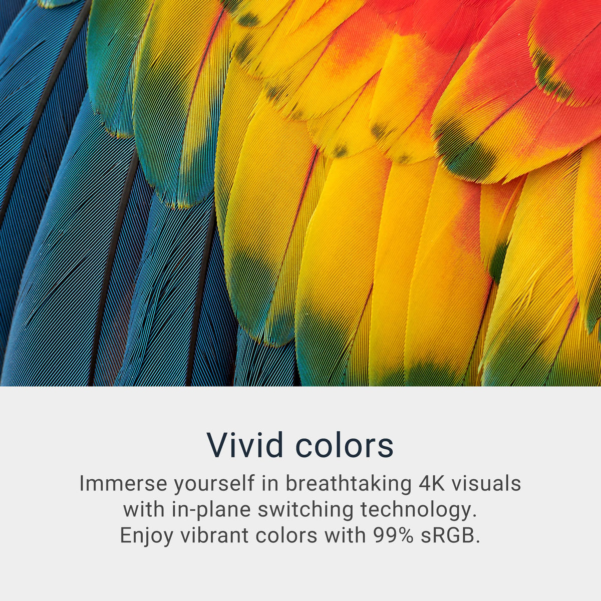 Dell S2725QS ash white IPS panel delivering vivid colors and wide angles.