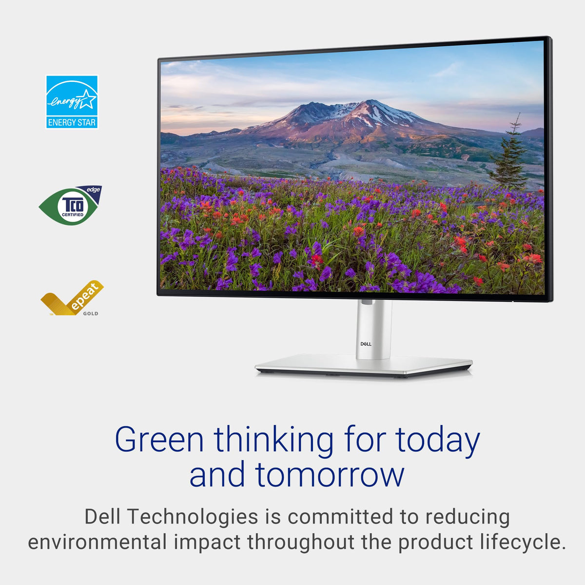 Dell UltraSharp 24 U2424H text clarity for productive reading.