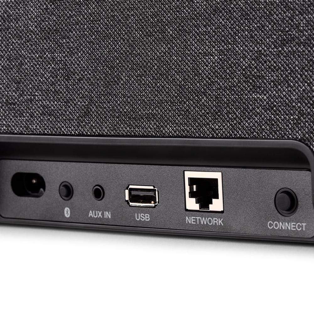 Denon Home 250 back ports enable wired connections