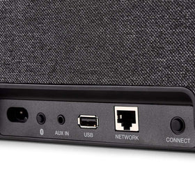Denon Home 250 back ports enable wired connections