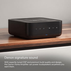 Denon Home Amplifier back panel with speaker, sub, and cable options for flexible wiring.