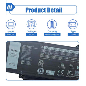 Dentsing DR02P connector close-up displaying compatible plug and secure fit advantage