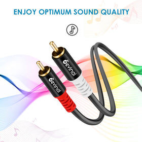 Devinal 10 ft length supports flexible placement in home cinema setups