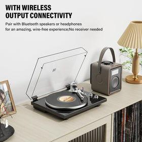 DIGITNOW removable dust cover protecting records when not in use