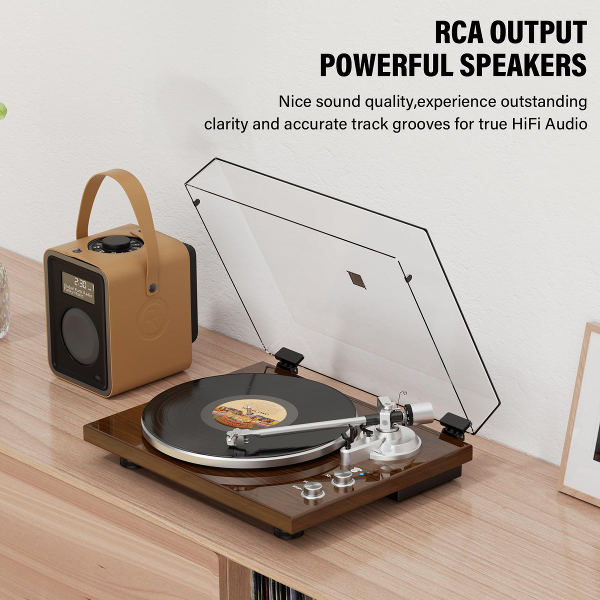 DIGITNOW RCA outputs connect to an external amplifier for enhanced fidelity.