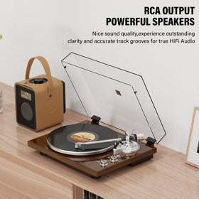 DIGITNOW RCA outputs connect to an external amplifier for enhanced fidelity.