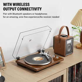 DIGITNOW USB output enables digitizing and archiving vinyl collections.