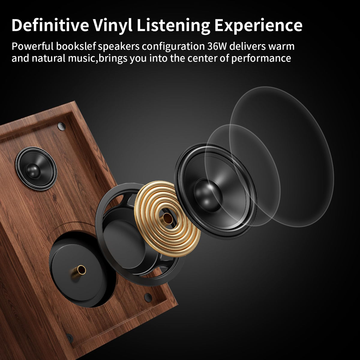 DIGITNOW USB port allows vinyl to MP3 conversion for digital backups