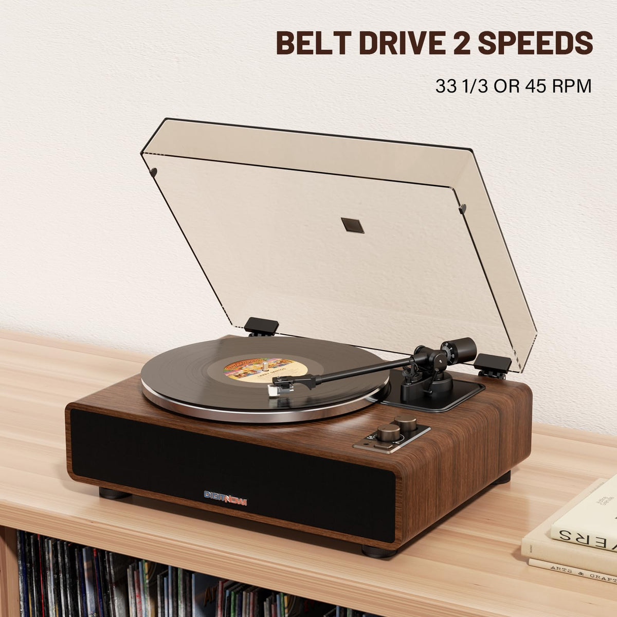 DIGITNOW magnetic cartridge for balanced channels and warm sound