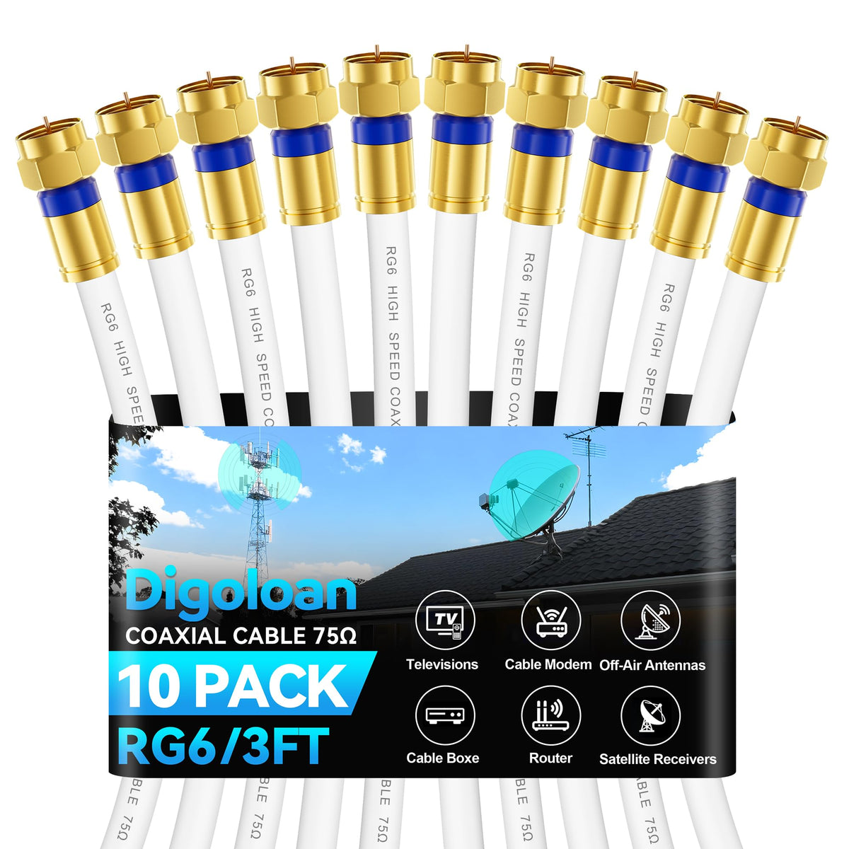 Digoloan front packaging showing 3ft 10-pack and organized cables for easy setup
