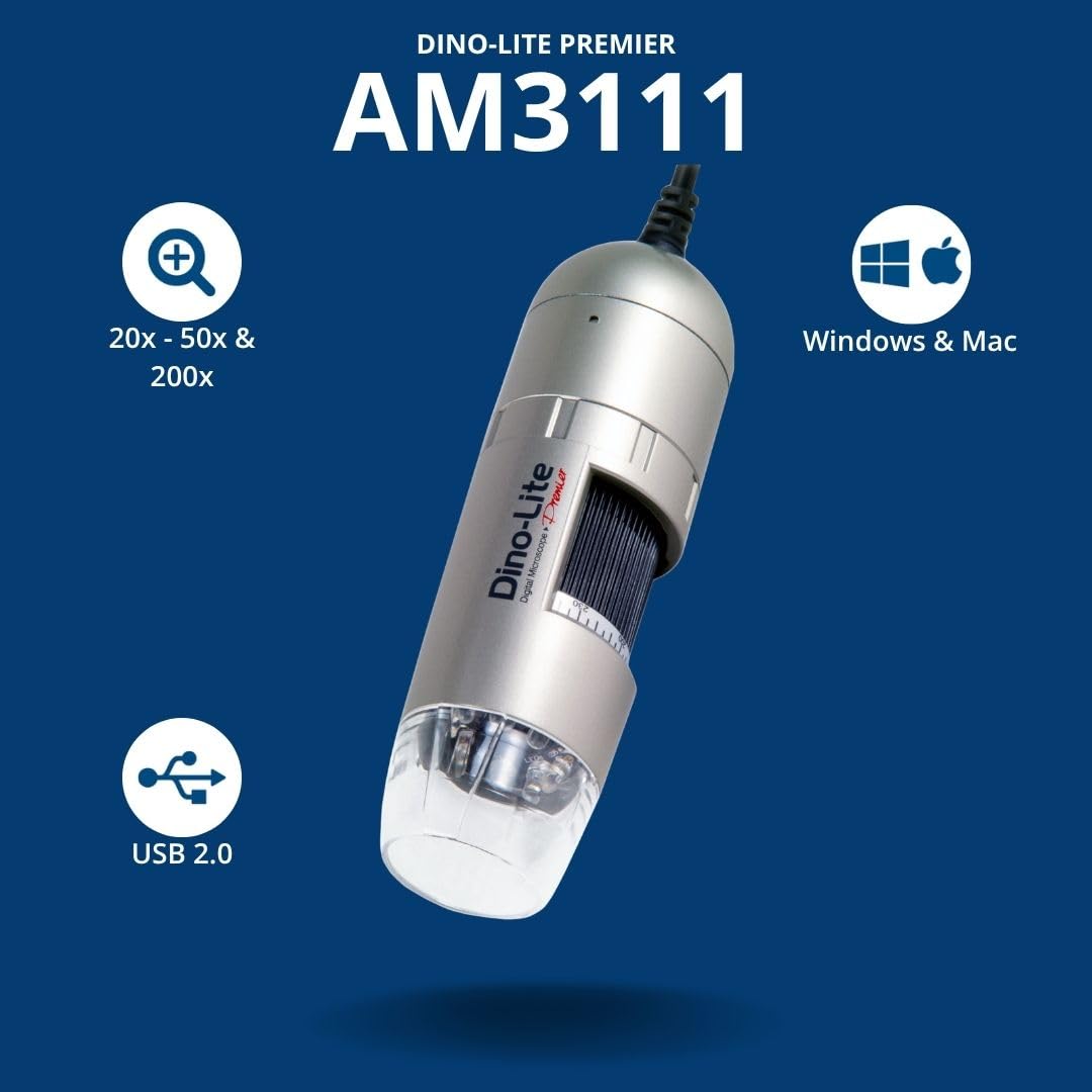 Dino-Lite AM3111 shows a sample microstructure magnified for precise inspection.
