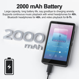 Diofox versatile device with voice recorder FM radio and e book reader.