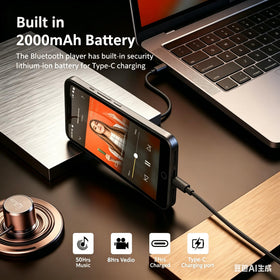 Diofox offline storage 80GB enables offline listening anywhere.