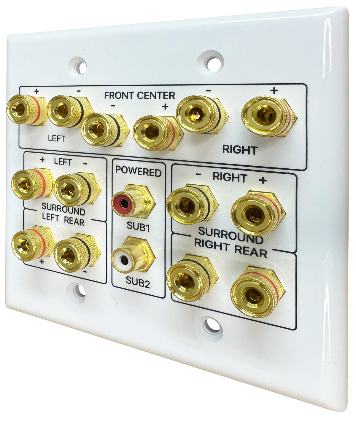 DIYTECH wall plate installed in a multi-gang panel for tidy AV integration