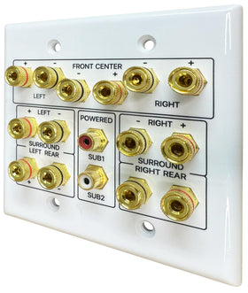 DIYTECH wall plate installed in a multi-gang panel for tidy AV integration