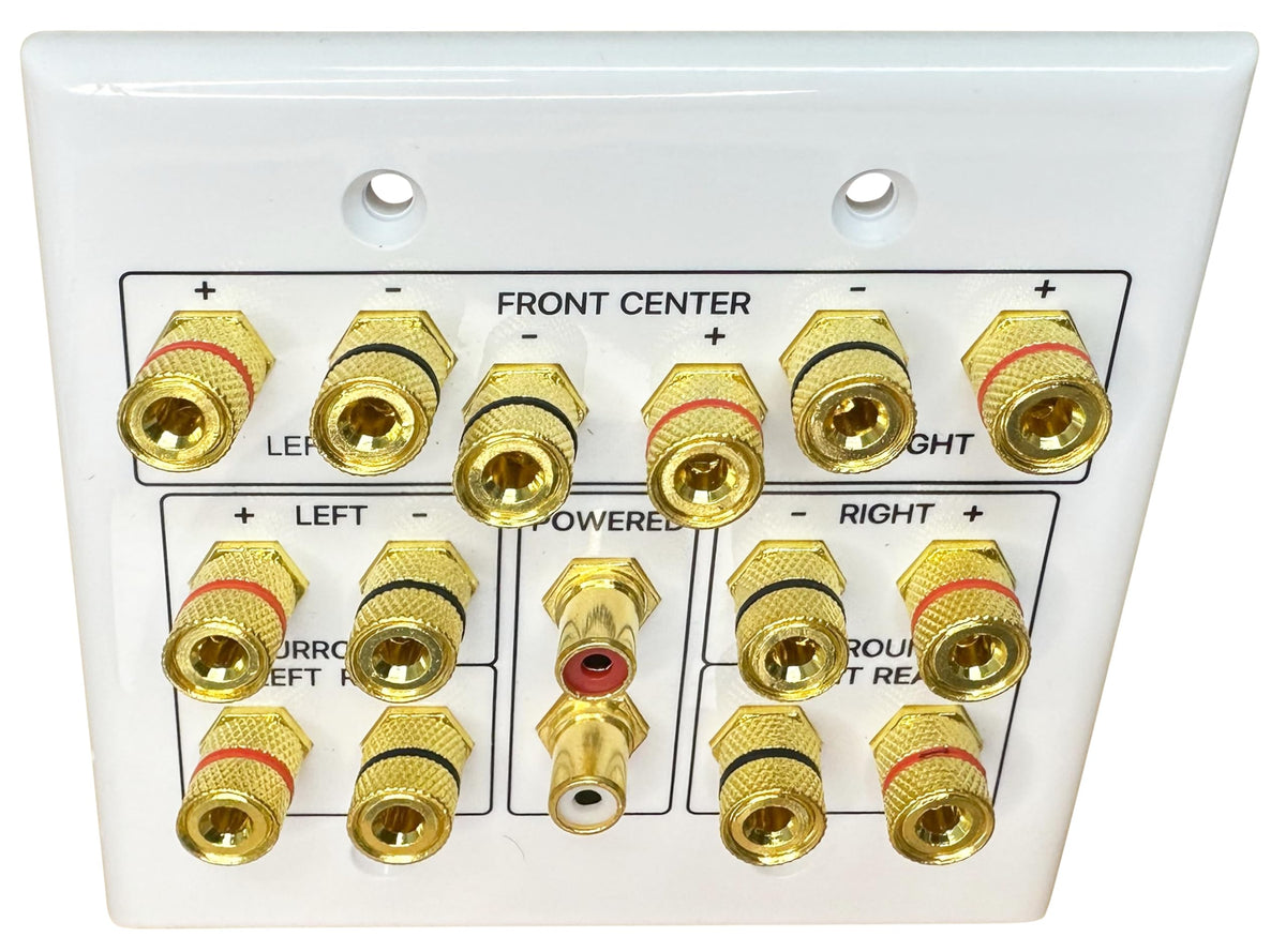 DIYTECH rear view showing wiring terminals for straightforward speaker cable hookup