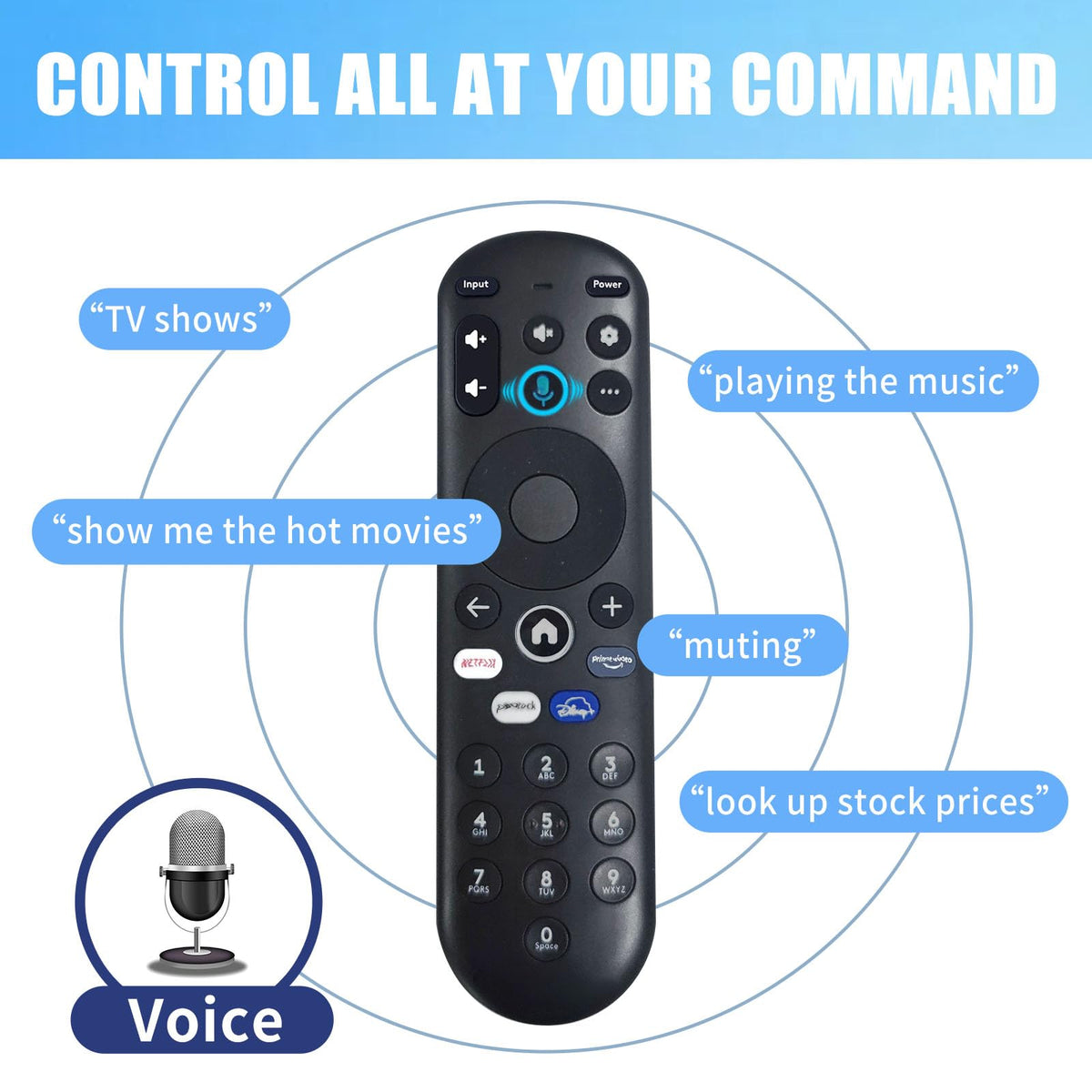 DJBNT voice remote side view emphasizes compact design and comfortable handling