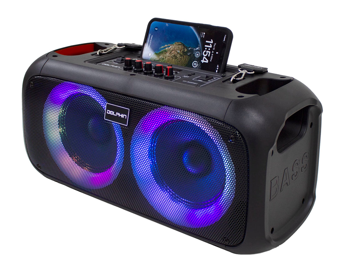 Dolphin boombox front view showing speakers and controls for powerful sound