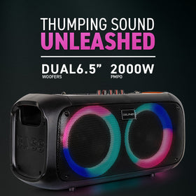 Dolphin boombox LED lights activated creating lively party atmosphere