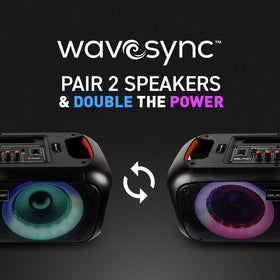 Dolphin boombox with remote and wired microphone for karaoke control